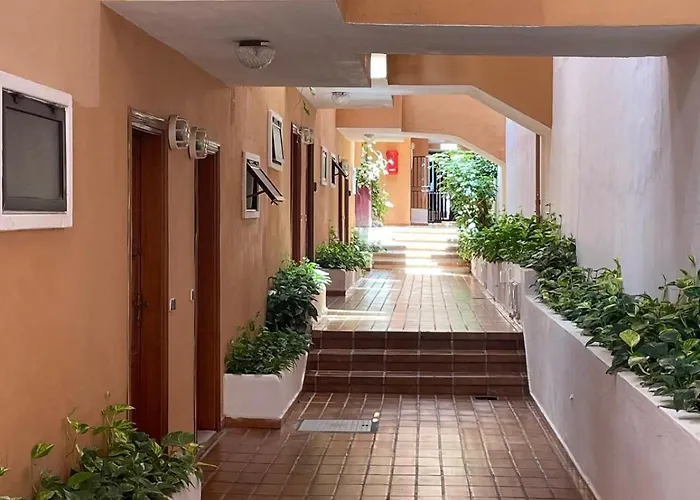 Ocean View Excellent Quiet Place Apartment Costa Adeje (Tenerife)